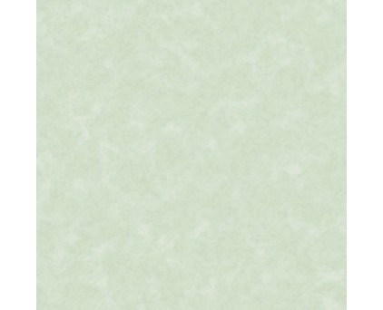 168533-05 Aspen Антураж Обои виниловые на флизелиновой основе 1,06*10,05/6