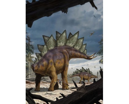 XXL2-530 Фотообои Komar "Stegosaurus"