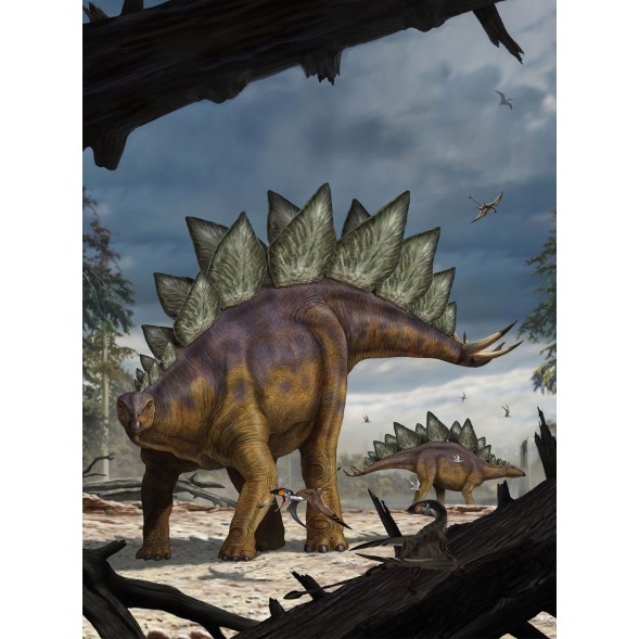 XXL2-530 Фотообои Komar "Stegosaurus"