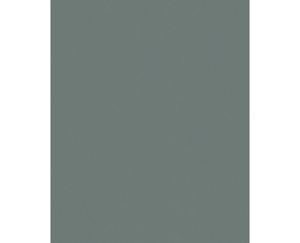 12007-18 Apolonia Jaberg фон Обои виниловые на флизелиновой основе 10,05х1,06/9