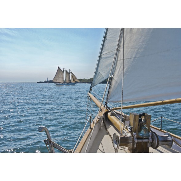 8-526 Фотообои Komar "Sailing"